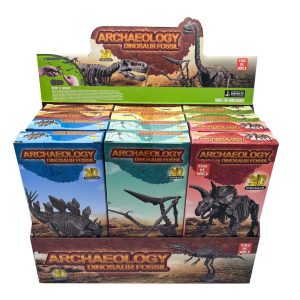 Dinosaur Fossil DIY Assorted