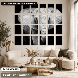 24 x A5 Feature Canvas Combo